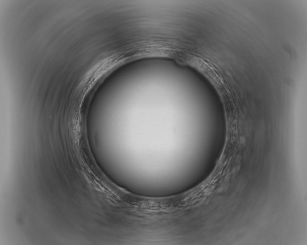 X0000115810338200911131425