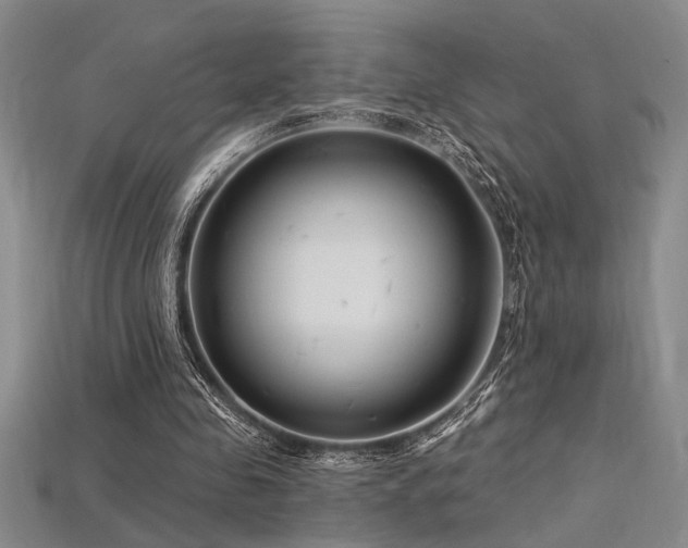 X0000115810341200911131425