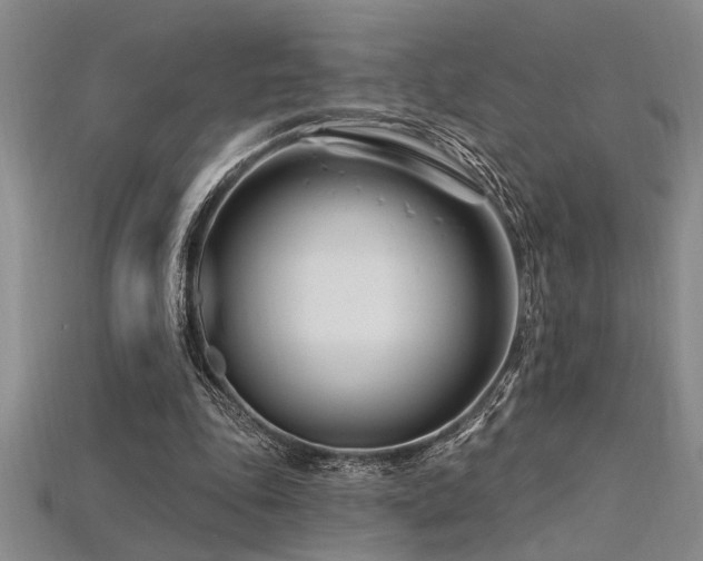 X0000115810343200911131425