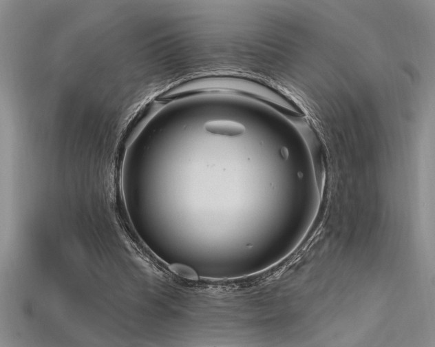 X0000115810345200911131425