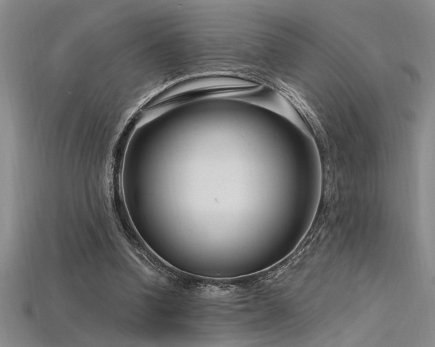 X0000115810346200911131425