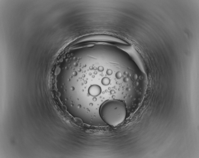 X0000115810347200911131425