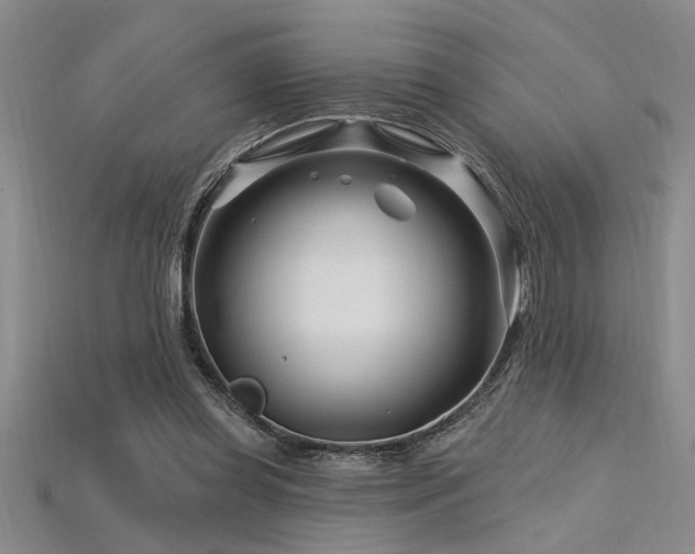 X0000115810349200911131425