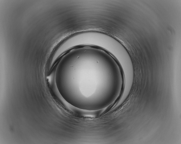 X0000115810350200911131425