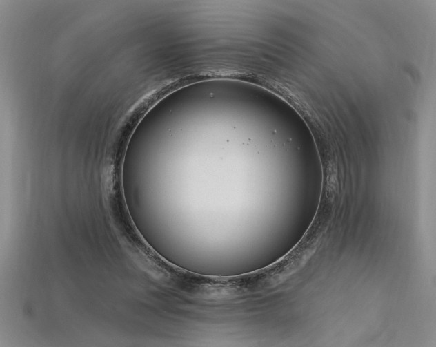 X0000115810351200911131425