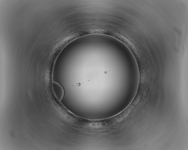 X0000115810353200911131425
