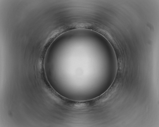 X0000115810357200911131425