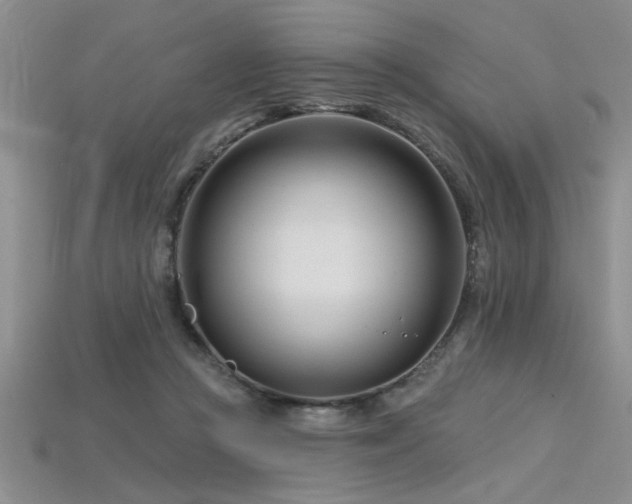 X0000115810361200911131425