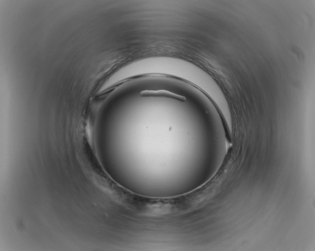 X0000115810362200911131425