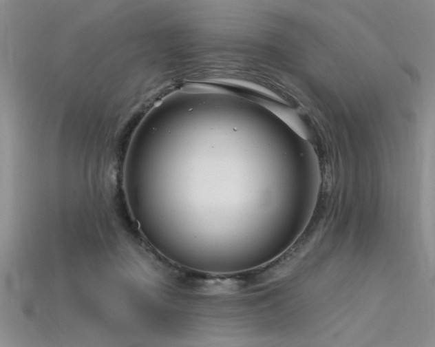 X0000115810363200911131425