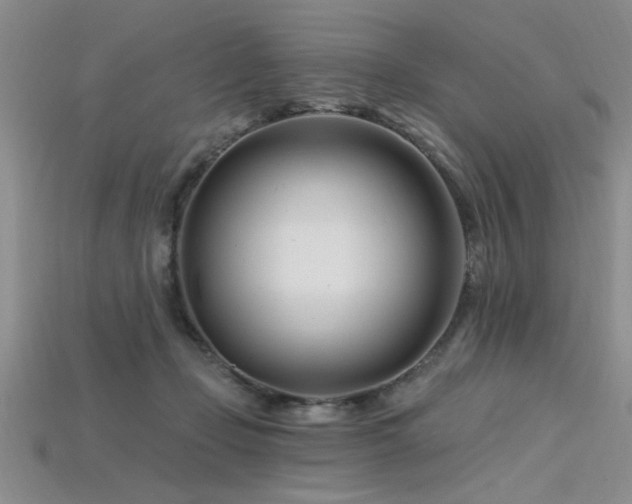 X0000115810365200911131425