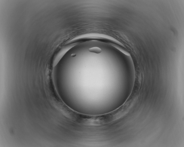 X0000115810366200911131425