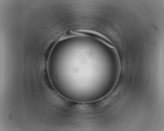 X0000115810367200911131425