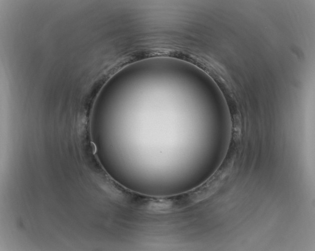 X0000115810369200911131425