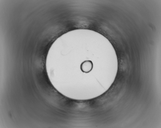 X0000115810370200911131425