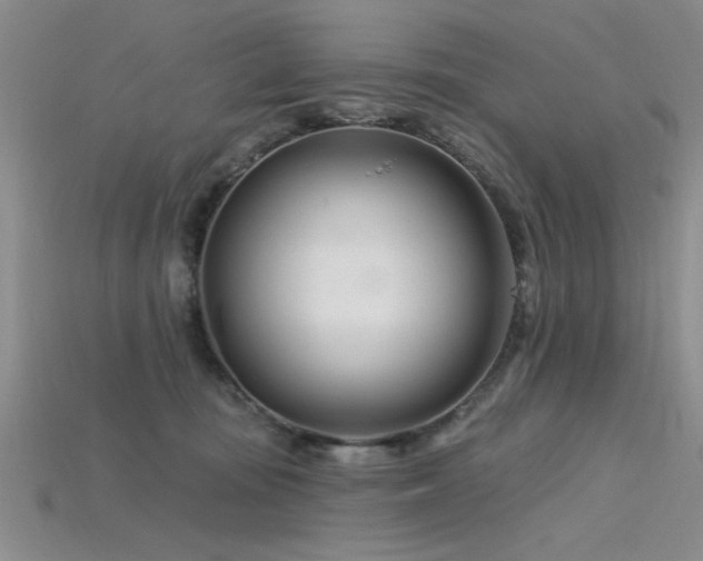 X0000115810371200911131425