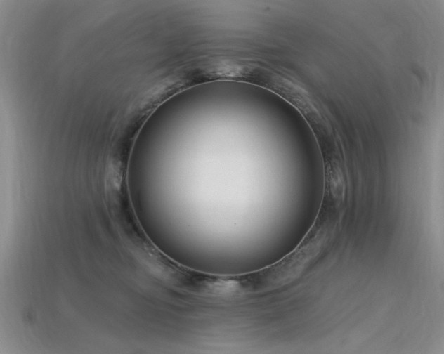 X0000115810374200911131425