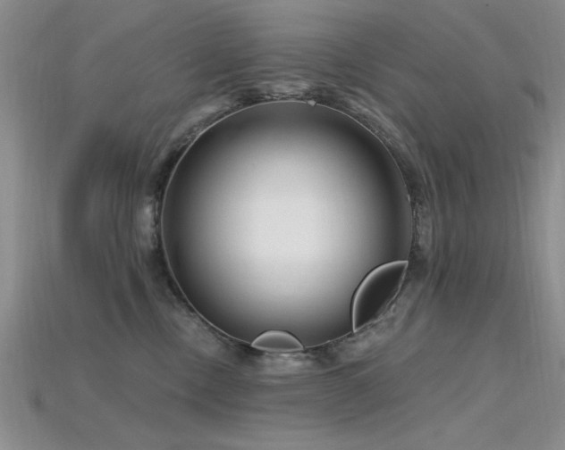 X0000115810378200911131425