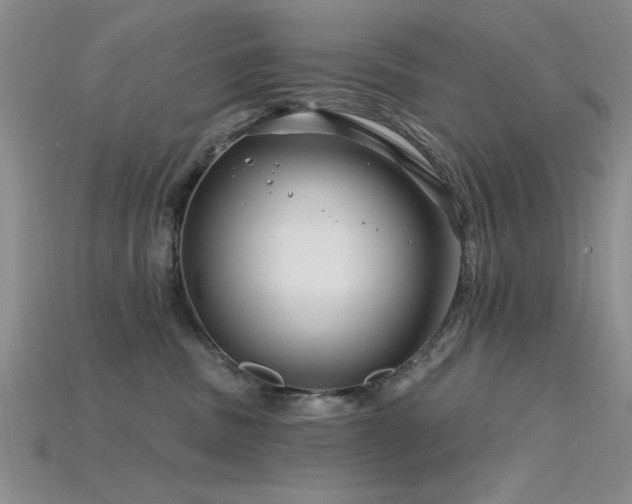 X0000115810379200911131425