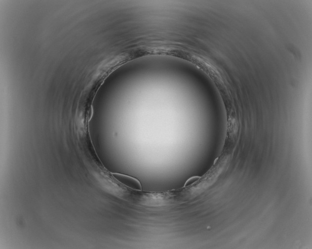 X0000115810381200911131425