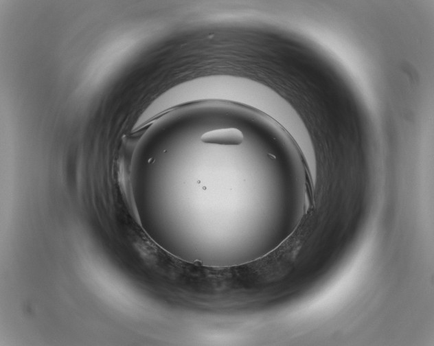 X0000115810382200911131425
