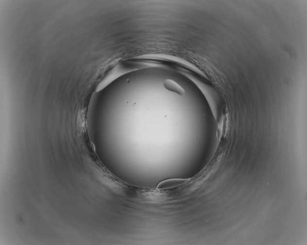 X0000115810383200911131425