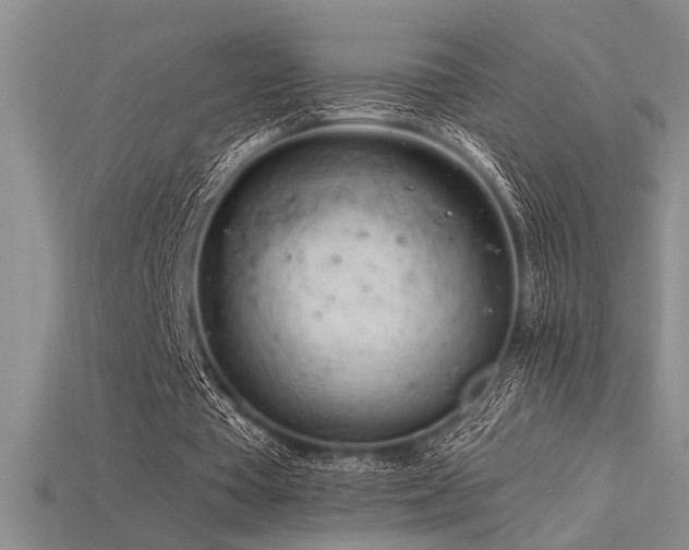 X0000115810385200911131425
