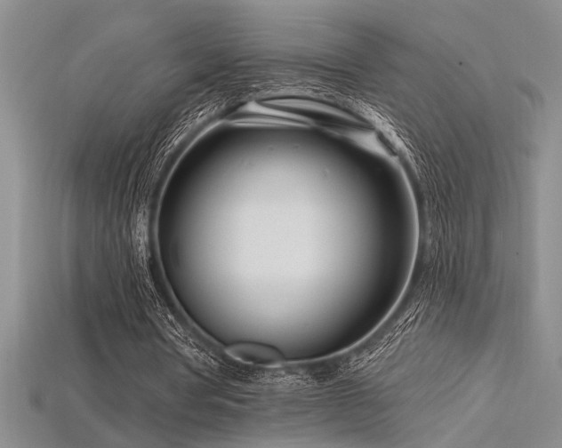 X0000115810386200911131425