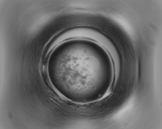 X0000115810387200911131425