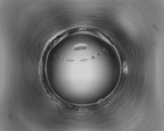 X0000115810388200911131425