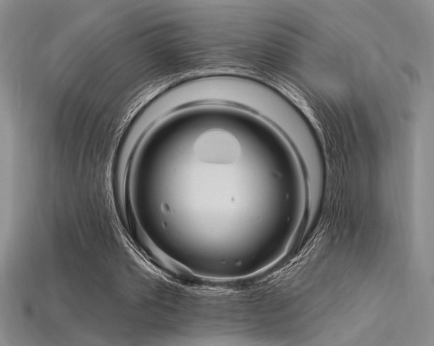 X0000115810389200911131425