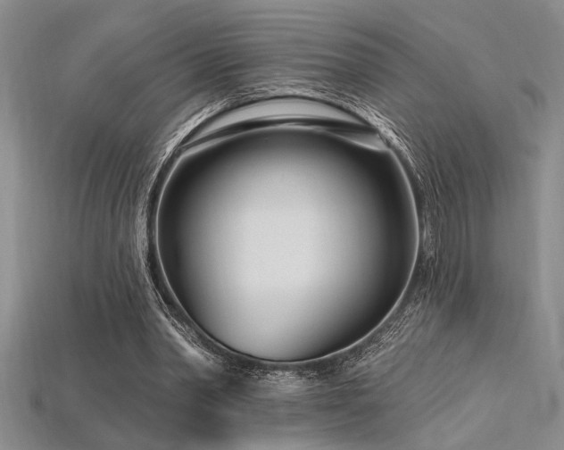 X0000115810390200911131425