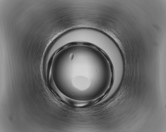 X0000115810391200911131425