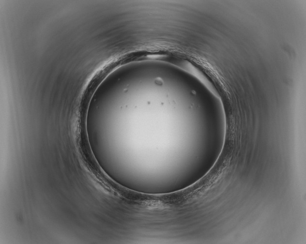 X0000115810392200911131425
