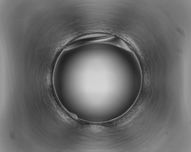 X0000115810393200911131425