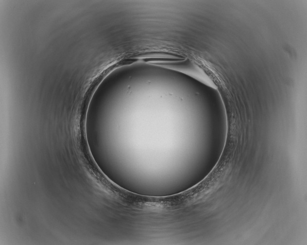 X0000115810394200911131425