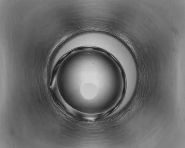 X0000115810395200911131425