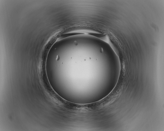 X0000115810396200911131425