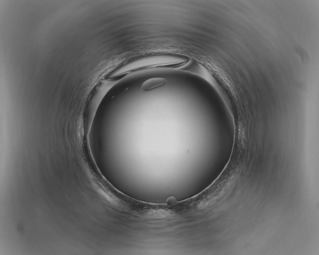 X0000115810397200911131425
