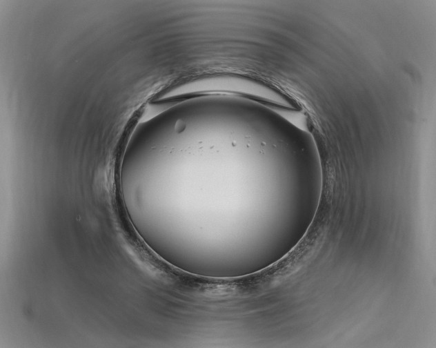 X0000115810398200911131425