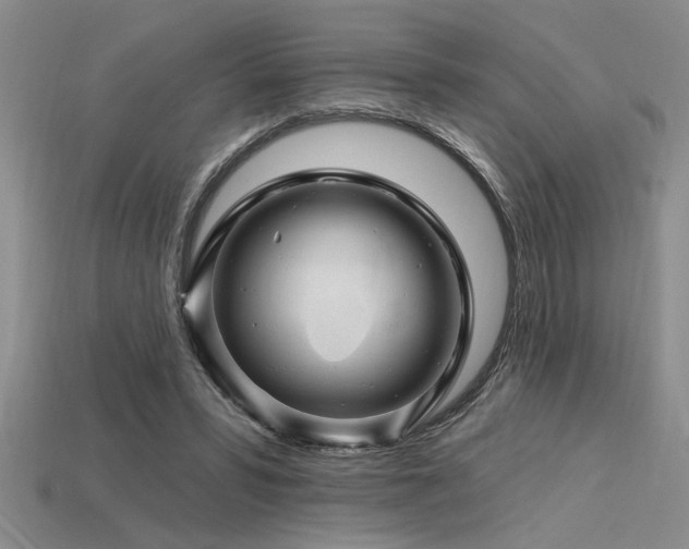 X0000115810399200911131425