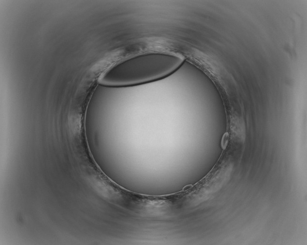X0000115810401200911131425