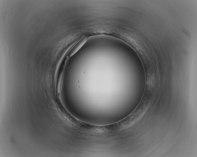 X0000115810402200911131425
