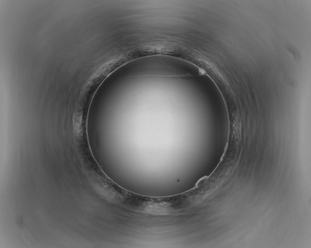 X0000115810403200911131425