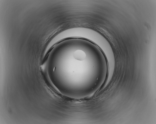 X0000115810405200911131424