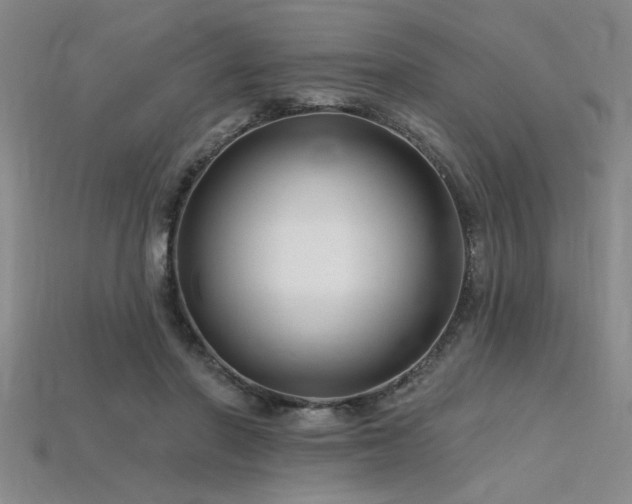 X0000115810406200911131424