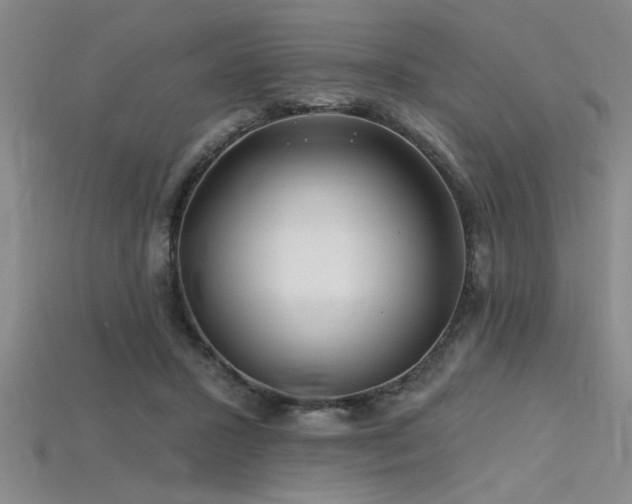 X0000115810407200911131424