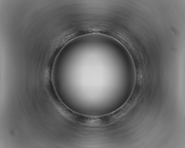 X0000115810410200911131424