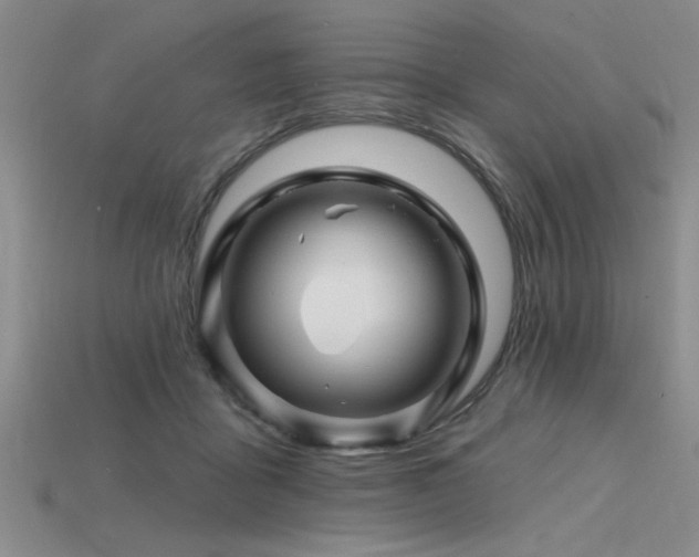 X0000115810411200911131424