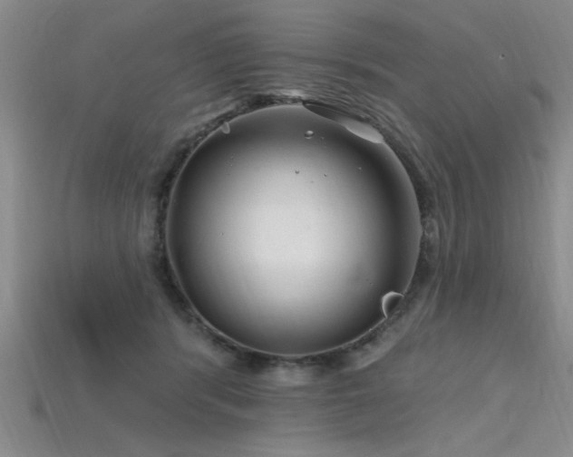 X0000115810416200911131424
